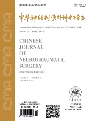 中华神经创伤外科电子杂志杂志